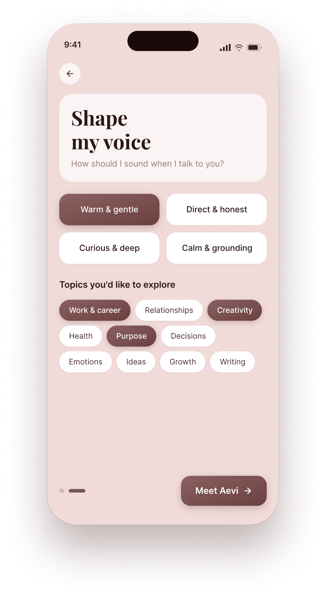 Voice setting